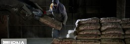 ۶۰ مگاوات انرژی خورشیدی در صنعت سیمان به بهره&zwnj;برداری می&zwnj;رسد