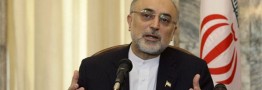 صالحی: بهانه انگلیس این است که ایران اورانیوم نیاز ندارد