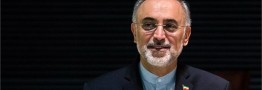 آمریکا بازی درآورده و می&zwnj;خواهد برجام را با هزینه ایران عقیم کرده و از بین ببرد