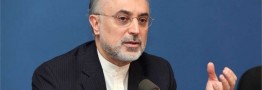 آمریکا می&zwnj;خواهد برجام را از درون عقیم کند
