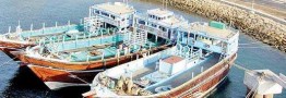 شناورهای صیادی چینی، تحت اجاره و مالکیت ایران است