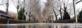 تداوم بارش&zwnj;ها و کاهش 10 درجه&zwnj;ای دما