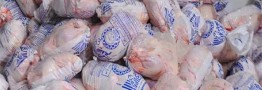 تب تند افزایش قیمت مرغ کاهش یافت