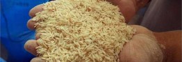 قیمت رسمی برنج خارجی اعلام شد