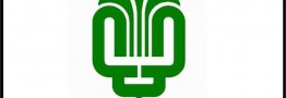بنیادمستضعفان،آستان قدس،قرارگاه خاتم و ستاداجرایی چنددرصد از اقتصاد کشور را در اختیار دارند؟