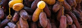 شناسایی بازار جهانی برای صادرات خرما ضروری است