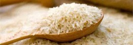 نیاز به واردات ۵۰۰ هزار تن برنج / تعلل دولت در اختصاص ارز برای واردات