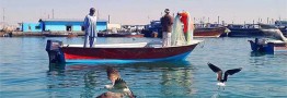 سهمیه سوخت قایق&zwnj;های صیادی تا ۱۰ دی ماه واریز می&zwnj;شود