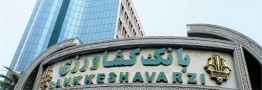 واگذاری ۳۰ درصدی سالیانه اموال مازاد/این اموال هیچگاه صفر نمی&zwnj;شود