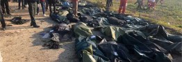 اطلاعیه سازمان هواپیمایی: بیشتر مسافران هواپیما ایرانی بودند