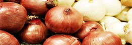 عامل اصلی گرانی پیاز، صادرات ۶۰۰ کیلو در روز/ قیمت هر کیلو پیاز باید ۵ هزار و ۵۰۰ تومان باشد