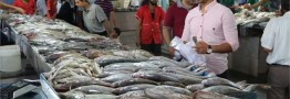 چه خبر از بازار ماهی؟
