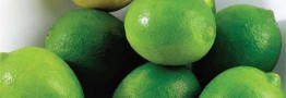 حباب کاذب قیمت لیموترش و لیموشیرین در بازار
