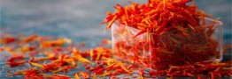 زعفران ارزان شد؛ قاچاق دوباره پیاز زعفران