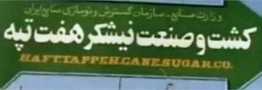 قرارداد واگذاری نیشکر هفت&zwnj;تپه فسخ شود