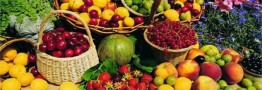 ۳ دلیل گرانی هویج در بازار/ درباره قیمت میوه&zwnj;ها بزرگ نمایی می&zwnj;شود