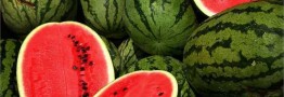 پیش&zwnj;بینی برداشت ۲۱۰ هزار تن هندوانه برای شب یلدا