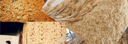 قیمت نان چند نرخی می&zwnj;شود؟/ دولت هنوز تصمیمی برای افزایش قیمت نان نگرفته است