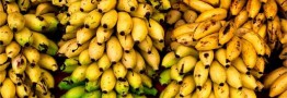 قیمت موز کاهش می&zwnj;یابد