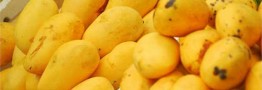 ورود مسافری انبه از مصر/ میوه&zwnj;های پروازی برای قشر خاصی است
