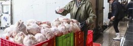مرغ یخ&zwnj;زده وارداتی دردی از بازار دوا نمی&zwnj;کند!