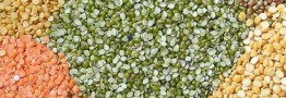 جنگ روسیه و اوکراین قیمت غلات را ۵۰ درصد افزایش داد