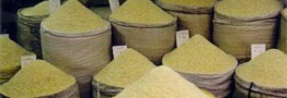 فروشندگان برنج تمایلی برای ارائه فاکتور ندارند/ افزایش احتمالی قیمت برنج با حدف ارز ترجیحی