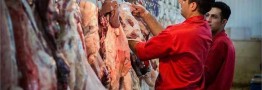 قیمت هر کیلو گوشت گوسفندی تنظیم بازار ۱۱۶ هزار تومان