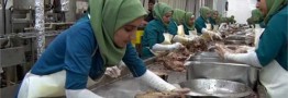 سقف قیمت تن ماهی ۳۵ هزار تومان تعیین است/ سازمان استاندارد هزینه&zwnj;های اضافی به تولید اضافه نکند