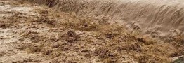 خسارت ۸۰۰ میلیارد تومانی سیل به صنعت شیلات/ مرگ ۸ هزار تن ماهی