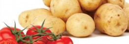 تعرفه صادرات پیاز، گوجه فرنگی و سیب زمینی حذف شد