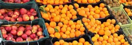 نقش بخش خصوصی در تنظیم بازار میوه شب عید پررنگ می&zwnj;شود