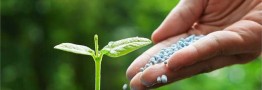 صدور ۱۵۷ فقره مجوز صادراتی کود شیمیایی/ قیمت کودهای یارانه&zwnj;ای افزایش نمی&zwnj;یابد