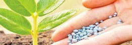 ۲ هزار تن کود شیمیایی در استان تهران طی اردیبهشت امسال توزیع شد