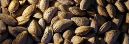 ۸۰ درصد خشکبار ایران صادر می&zwnj;شود
