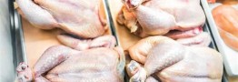 قیمت مرغ به زیر ۸۰ هزار تومان رسید