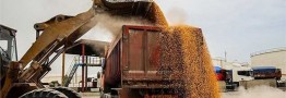 ۱۹.۴ میلیون تن کالاهای اساسی در بنادر ایران تخلیه شد