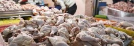 تخصیص سهمیه ویژه اقلام اساسی برای استان&zwnj;های مسافرپذیر