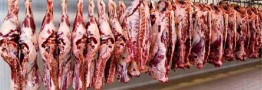 سود بازرگانی انواع گوشت صفر شد