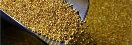 یک پیش&zwnj;بینی عجیب از تغییر قیمت طلا/ منتظر این قیمت برای طلا باشید