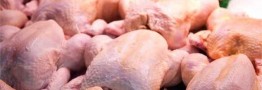 توزیع مرغ گرم با نرخ مصوب در حال انجام است
