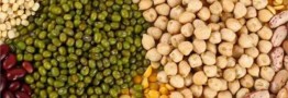 افزایش عرضه حبوبات در بازار برای تنظیم قیمت&zwnj;ها