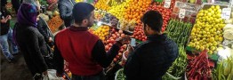 عرضه میوه تنظیم بازار با ۳۰ درصد ارزان&zwnj;تر از بازار