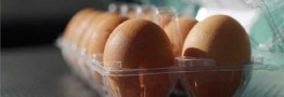 اصلاح قیمت تخم&zwnj;مرغ با پیشنهاد حدود ۳۰ درصد افزایش