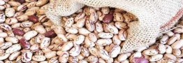 فروش هرکیلو لوبیا چیتی با قیمت ۵۰۰ هزارتومان کاملا تخلف است