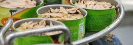 واردات ۵۰ درصدی تن‌ماهیان نرخ کنسرو را ۲ بار افزایش داد