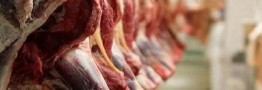سکوت سیاست‌گذار در برابر افزایش قیمت بی‌سابقه گوشت