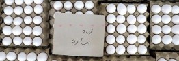 قیمت جدید تخم مرغ اعلام شد