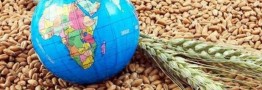 لزوم برنامه ریزی برای تامین امنیت غذایی کشور