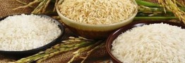 کاهش قیمت برنج در اه است